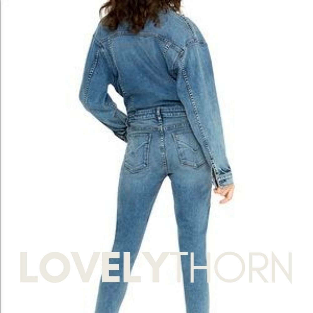 HUDSON // long sleeved fitted stretch denim jumpsuit in magnetize - Picture 12 of 12